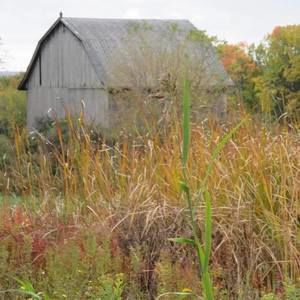 Meet your Posher, Ann marie